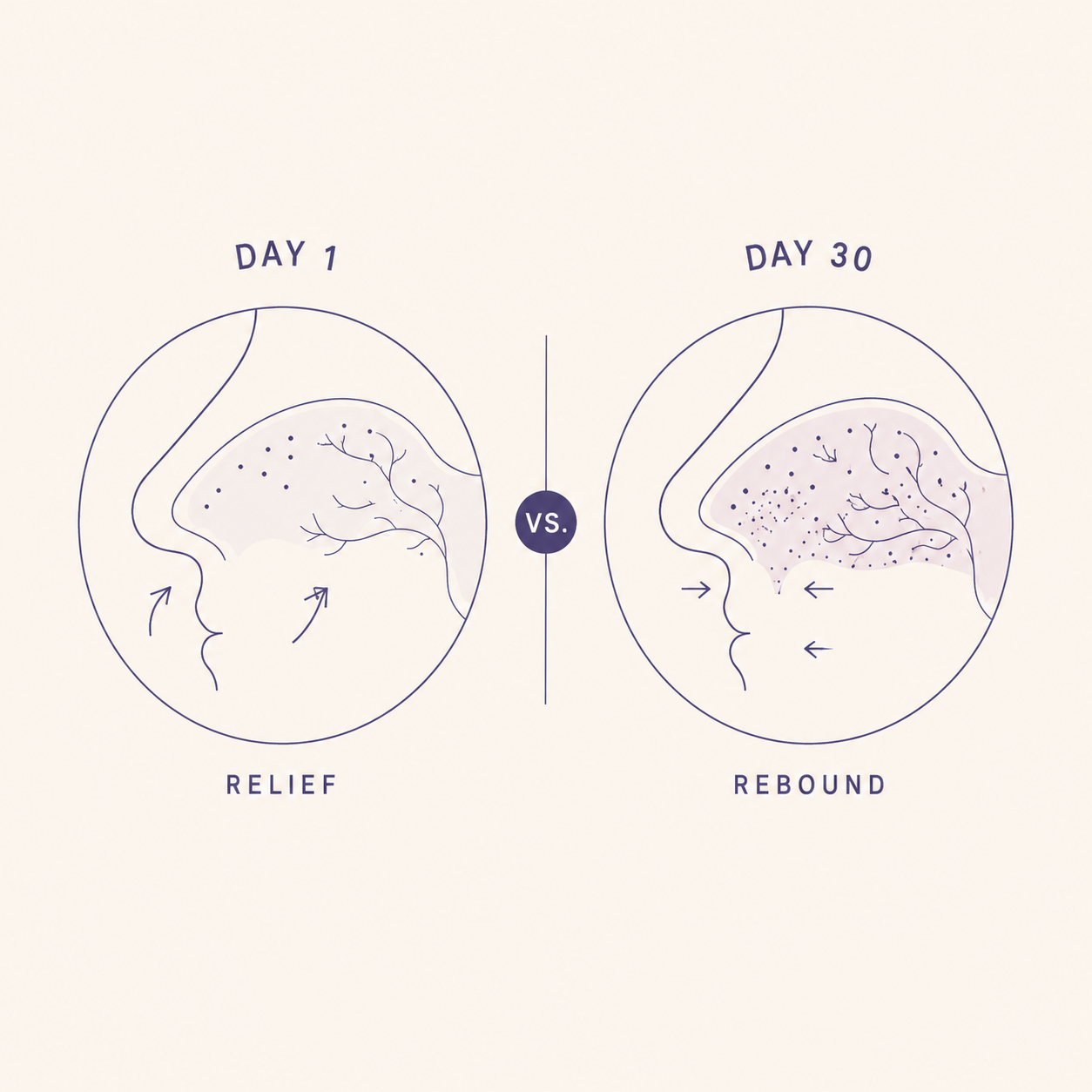Diagram: Day 1 relief vs Day 30 rebound